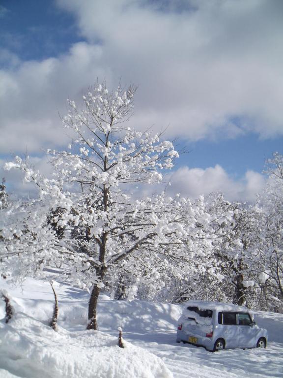 Pension Green Lake Gujo Esterno foto