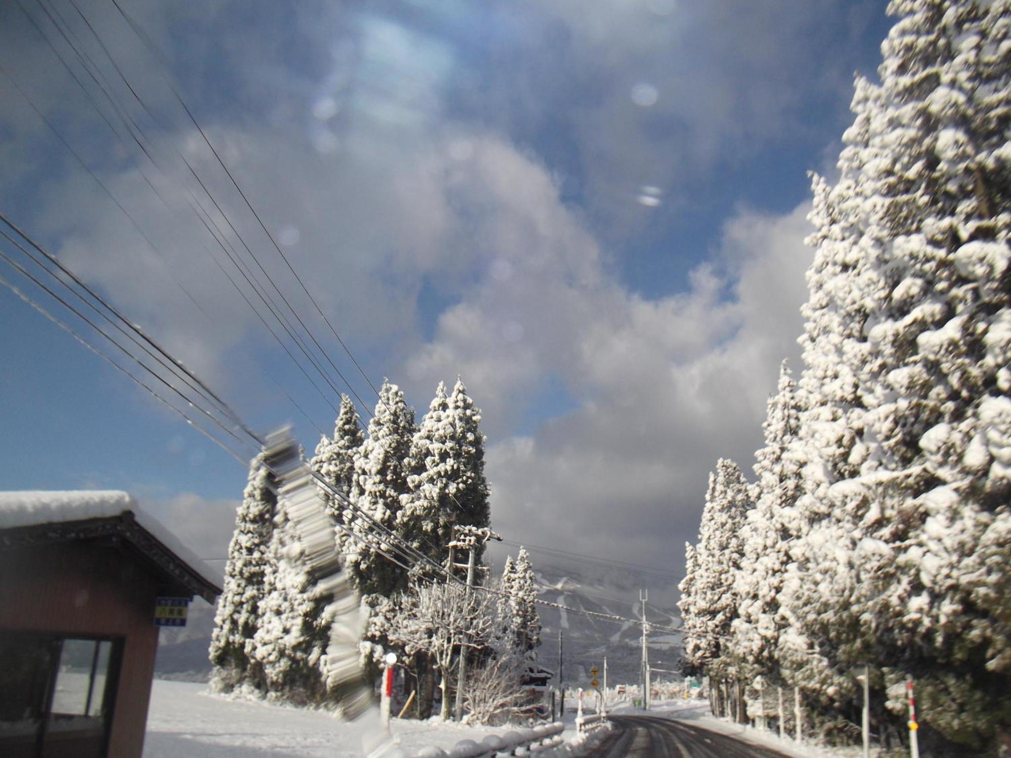 Pension Green Lake Gujo Esterno foto